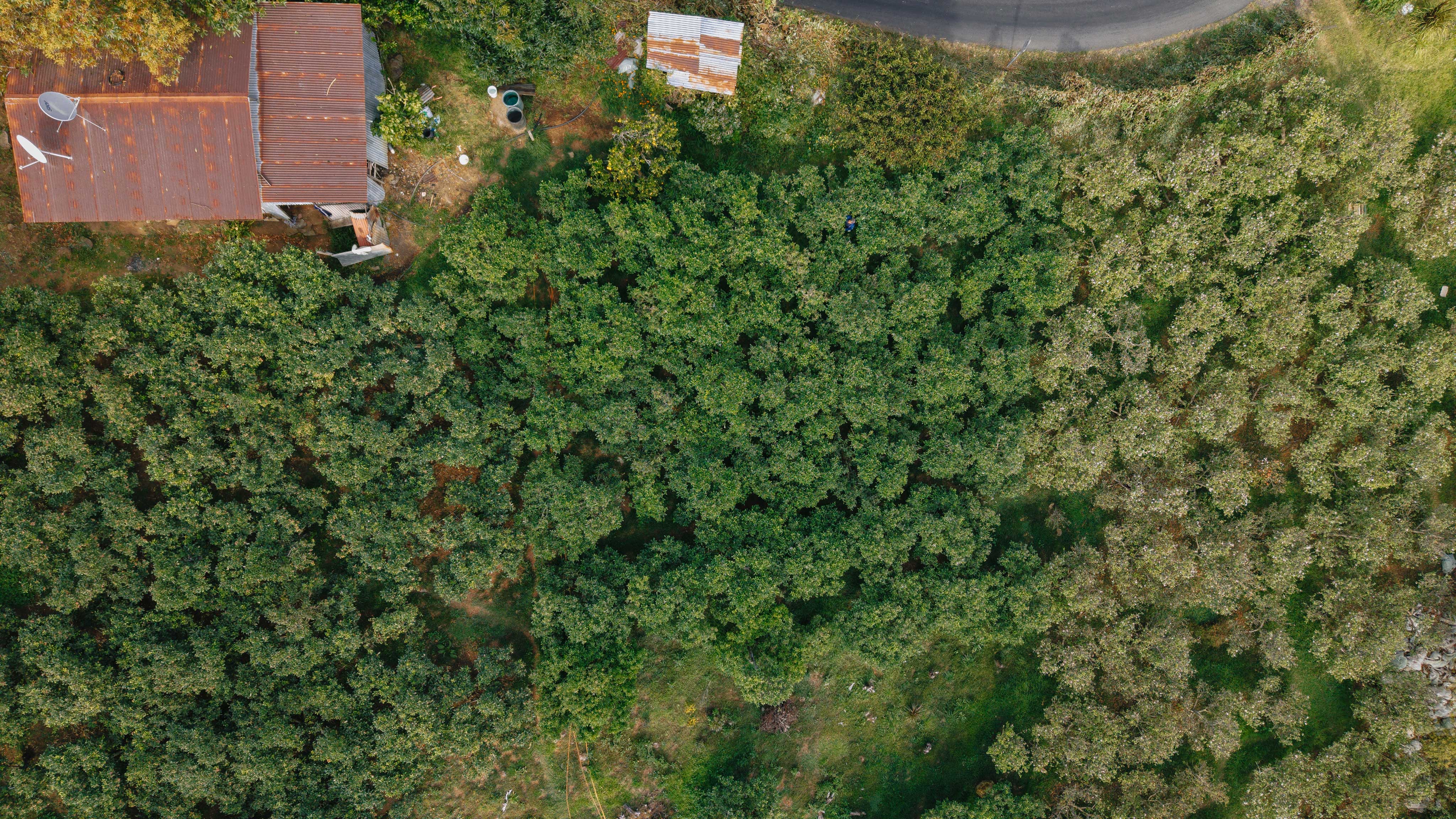 3 bed Land For Sale in Dota, San Jose - thumb 6