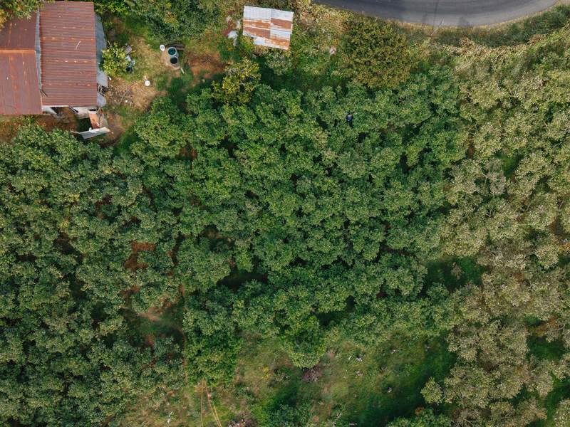 3 bed Land For Sale in Dota, San Jose - photo 6