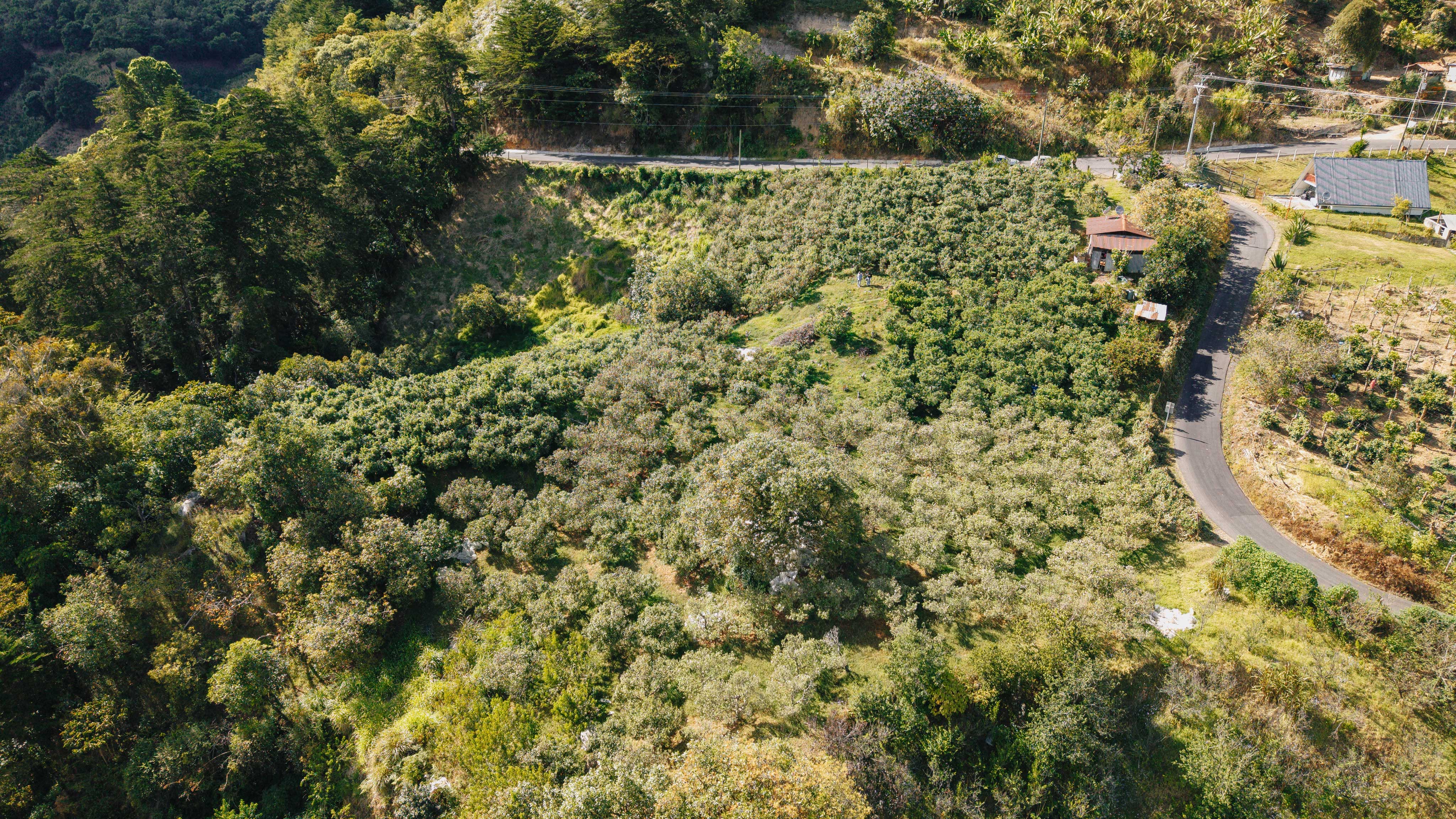 3 bed Land For Sale in Dota, San Jose - thumb 17