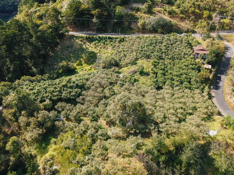 3 bed Land For Sale in Dota, San Jose - photo 17