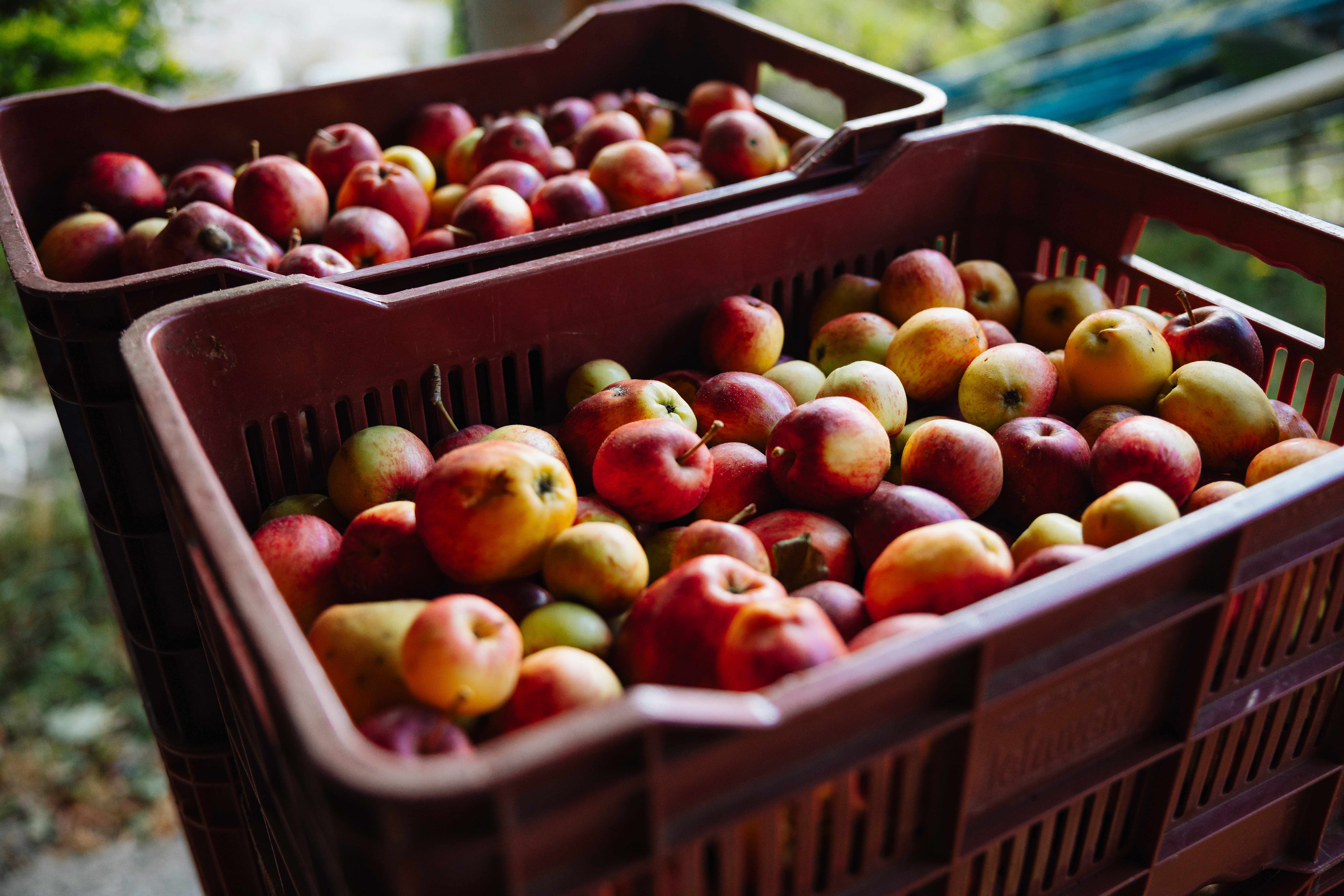 3 bed Land For Sale in Dota, San Jose - thumb 2