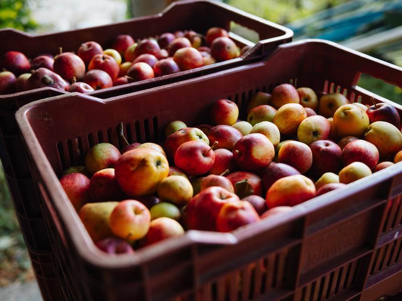 3 bed Land For Sale in Dota, San Jose - photo 2