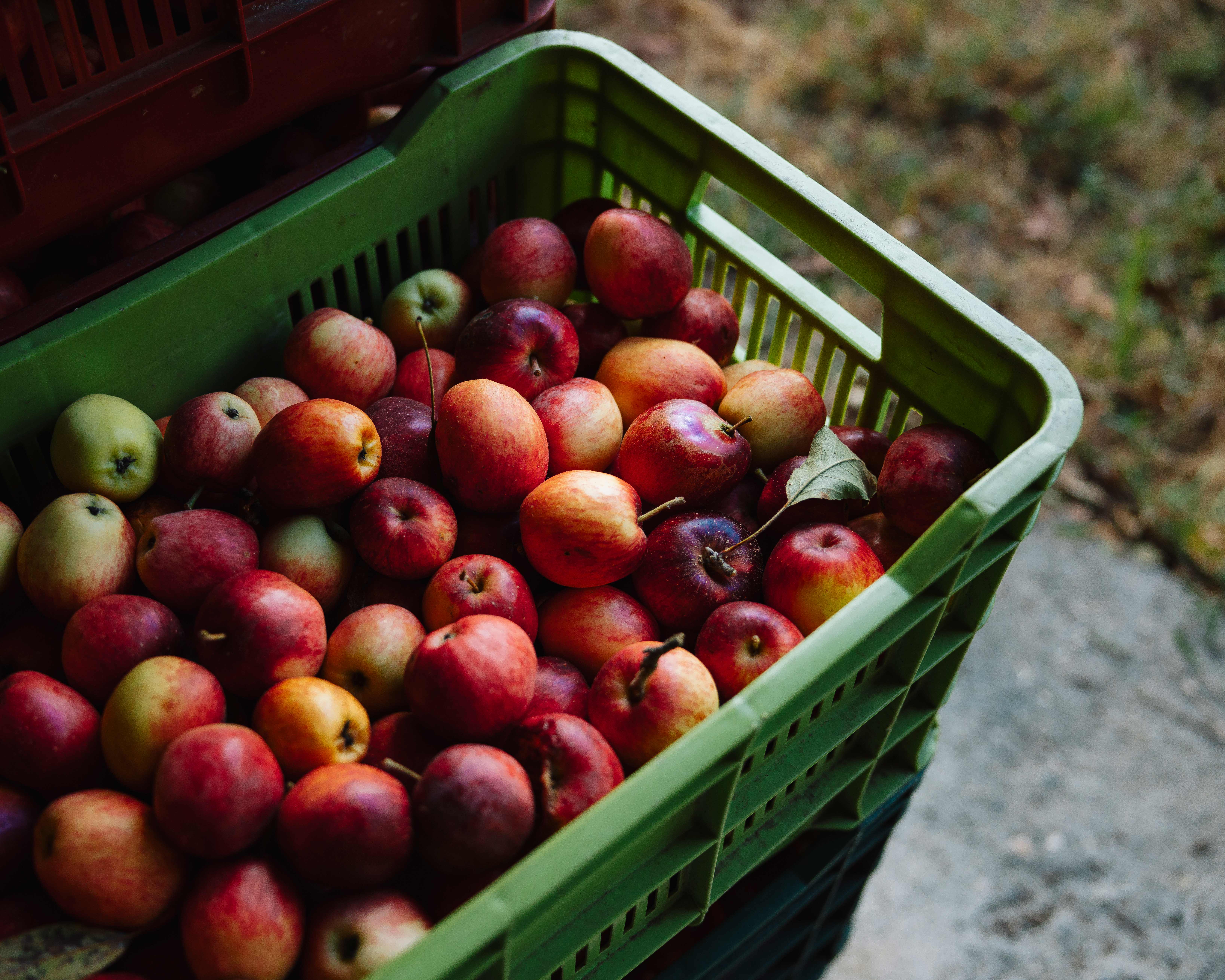 3 bed Land For Sale in Dota, San Jose - thumb 4