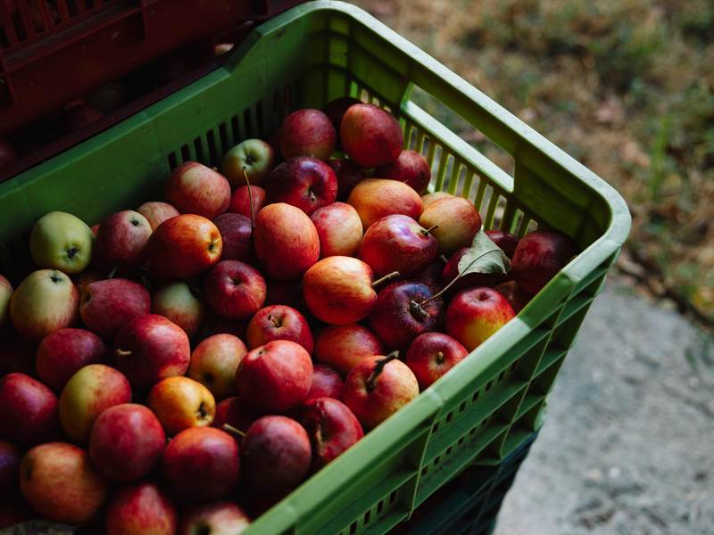 3 bed Land For Sale in Dota, San Jose - photo 4