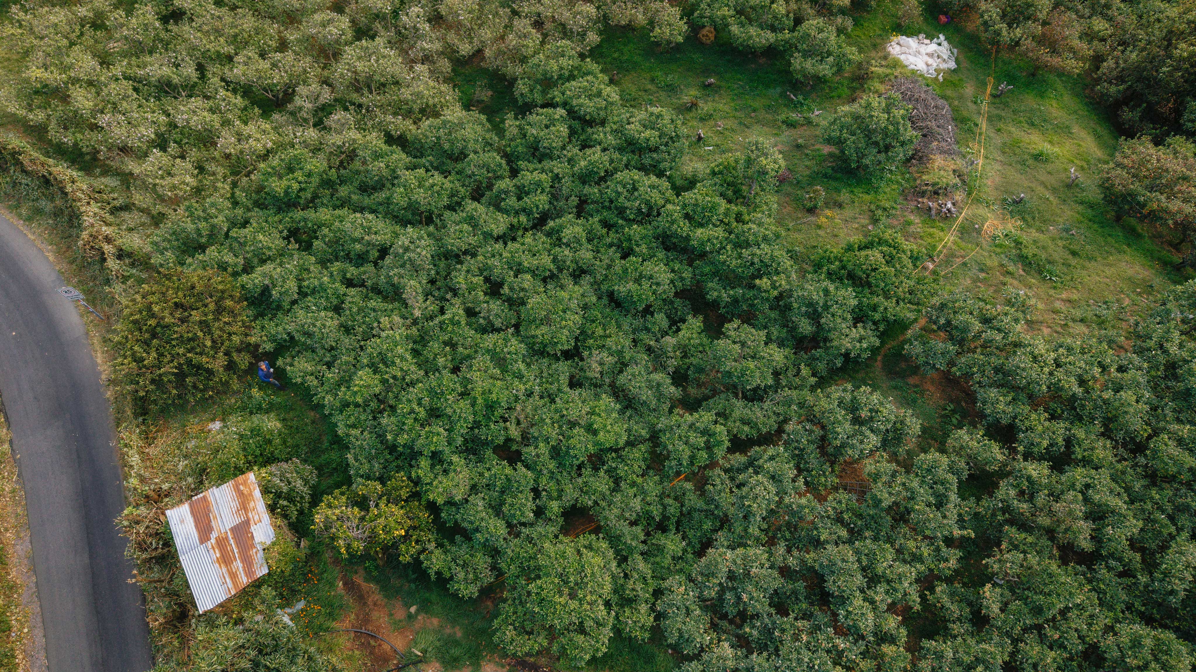 3 bed Land For Sale in Dota, San Jose - thumb 5