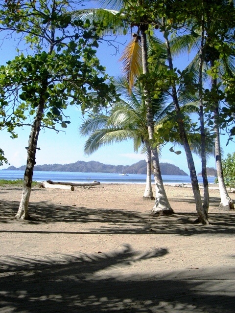 0 bed Land For Sale in Paquera, Puntarenas - thumb 13