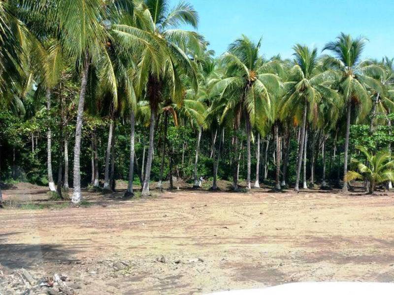 0 bed Land For Sale in Paquera, Puntarenas - hero 16