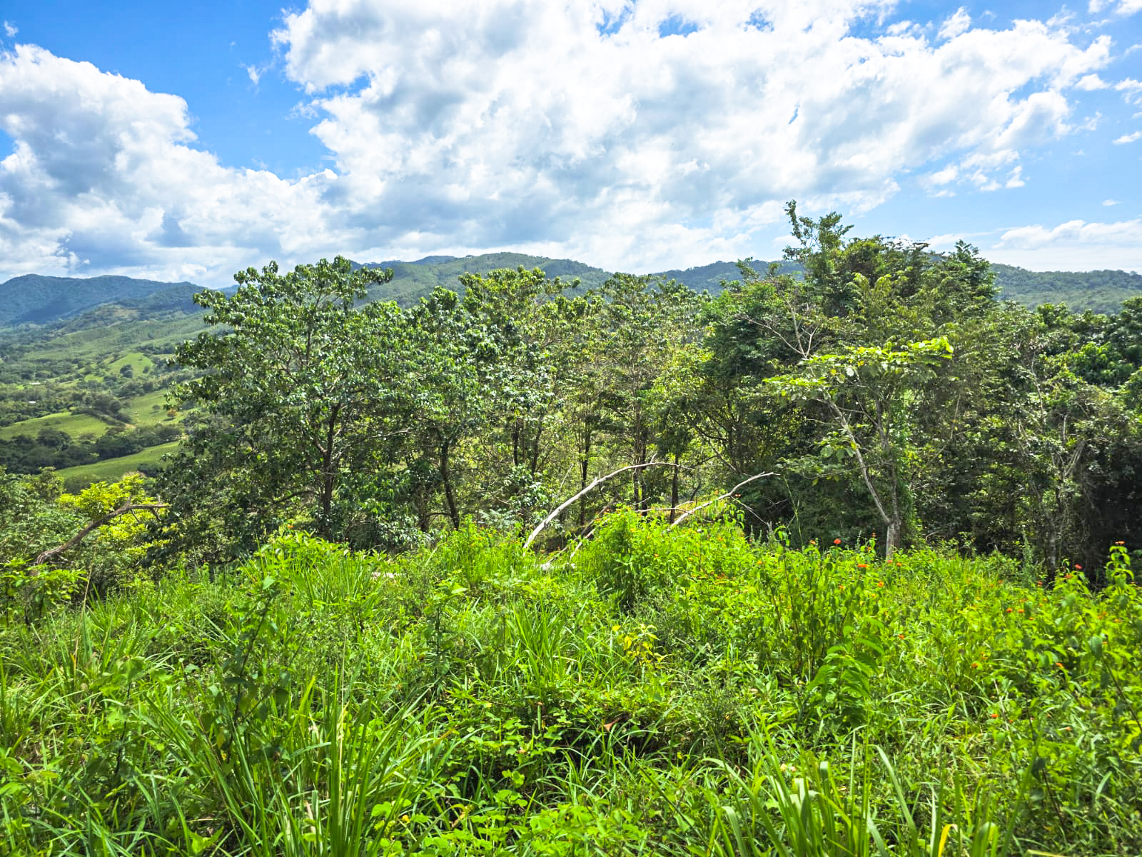 0 bed Land For Sale in Playa Carrillo, Guanacaste - thumb 7