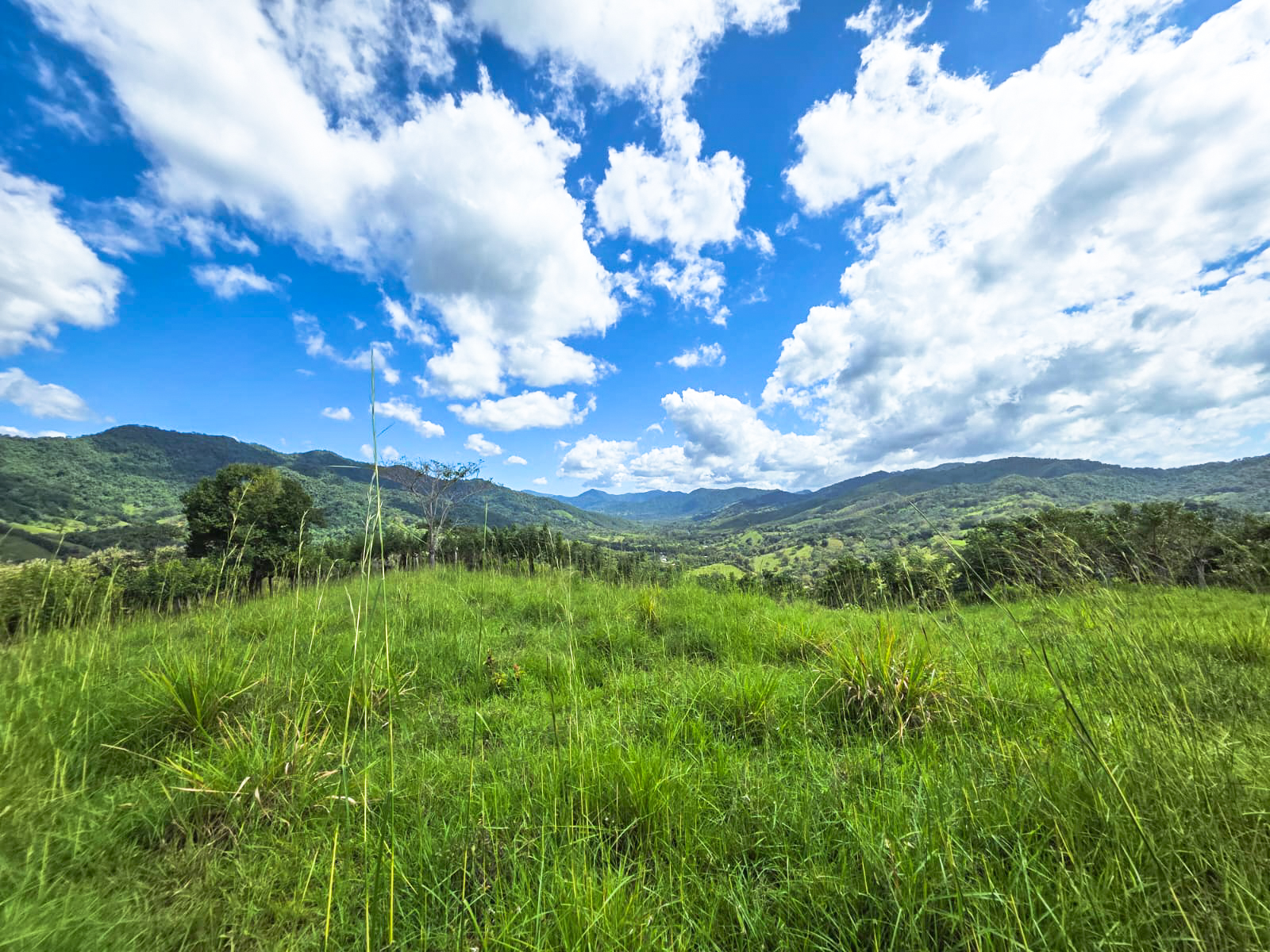 0 bed Land For Sale in Playa Carrillo, Guanacaste - thumb 11