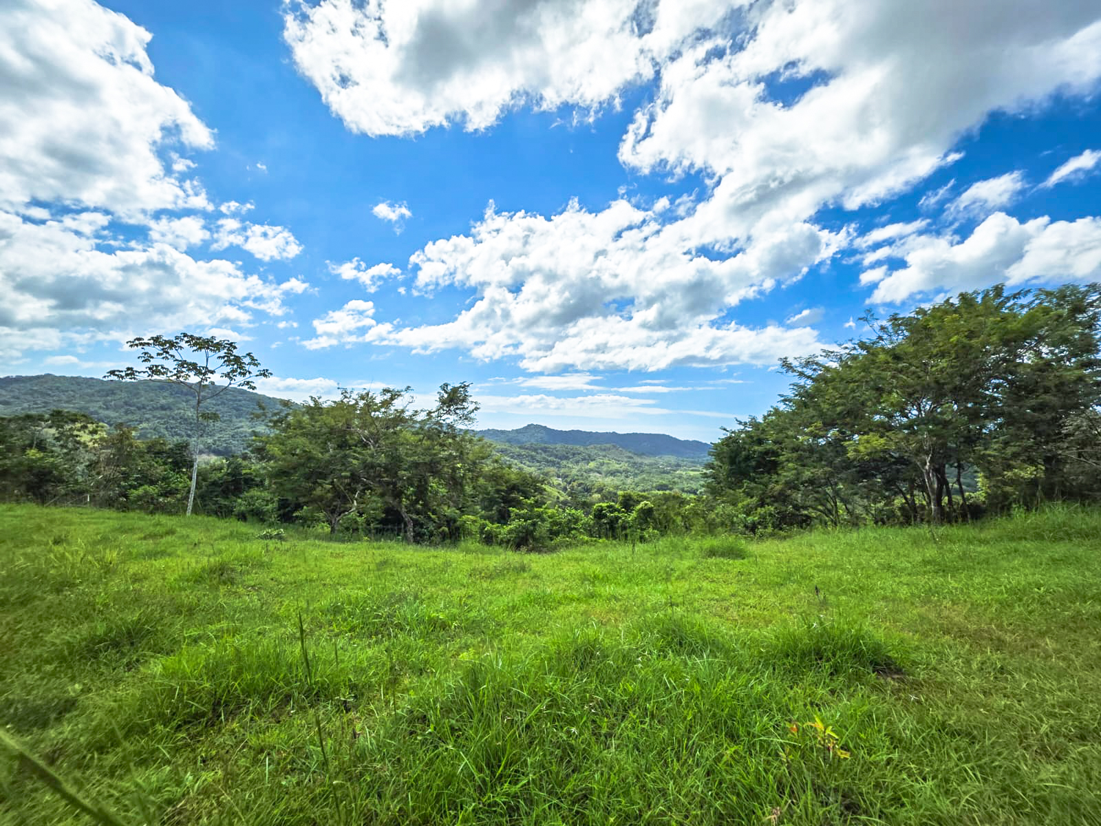 0 bed Land For Sale in Playa Carrillo, Guanacaste - thumb 8