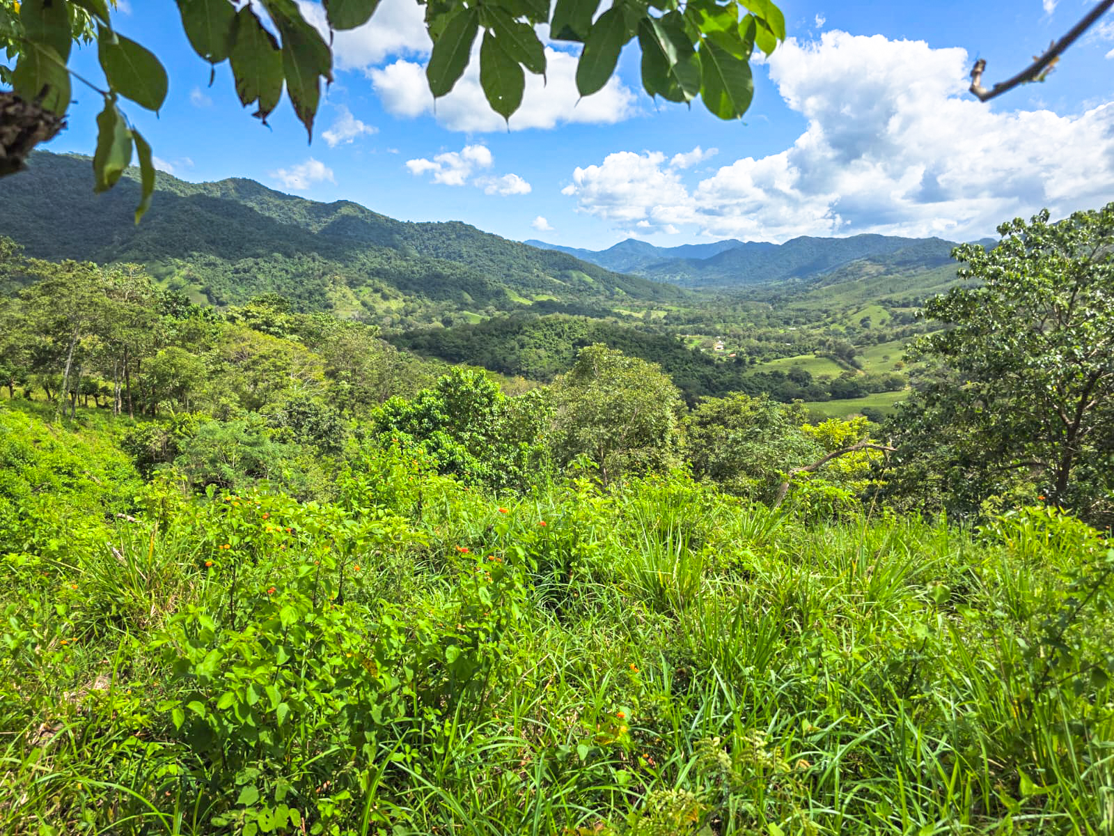 0 bed Land For Sale in Playa Carrillo, Guanacaste - thumb 2