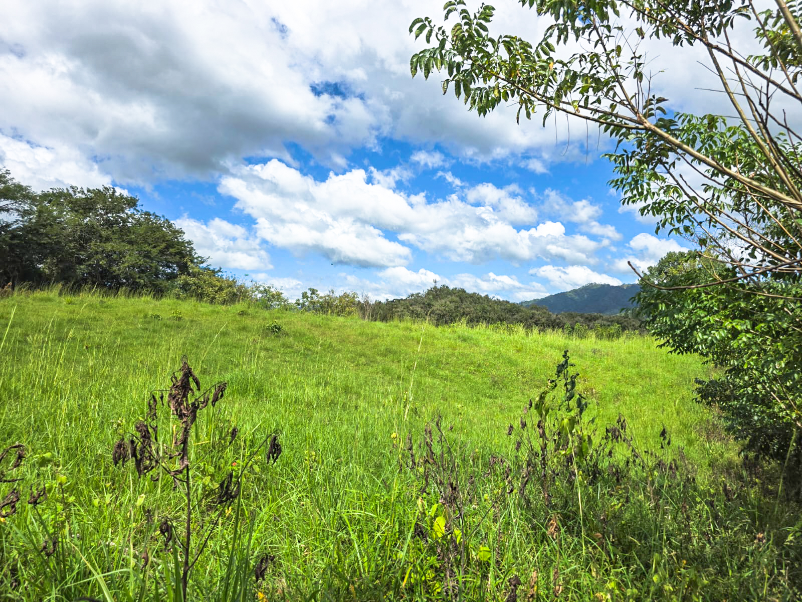 0 bed Land For Sale in Playa Carrillo, Guanacaste - thumb 6