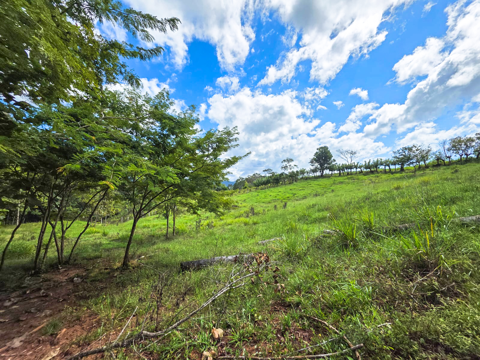 0 bed Land For Sale in Playa Carrillo, Guanacaste - thumb 10