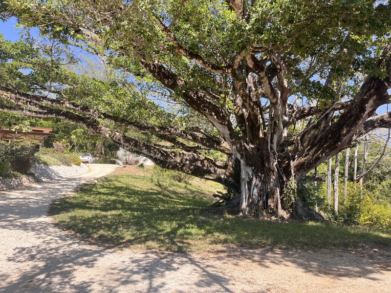 5 bed Single Family Homes For Sale in Hojancha, Guanacaste - hero 26