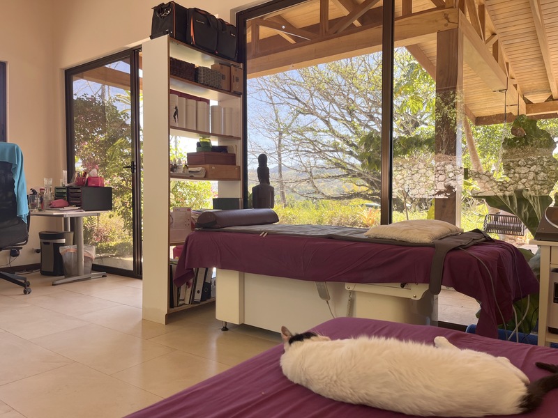 5 bed Single Family Homes For Sale in Hojancha, Guanacaste - hero 15