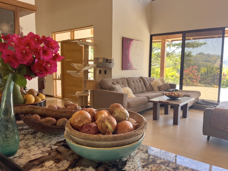 5 bed Single Family Homes For Sale in Hojancha, Guanacaste - hero 8