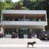  - Prime Commercial & Residential Building on Main Road in Santa Teresa