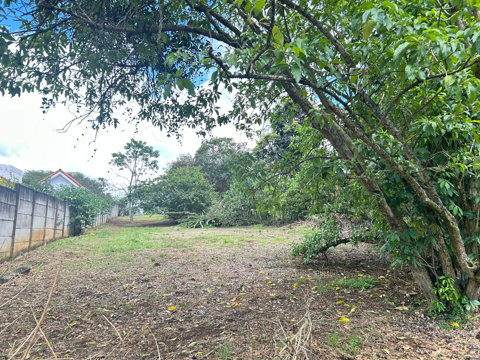 0 bed Land For Sale in La Garita, Alajuela - thumb 10