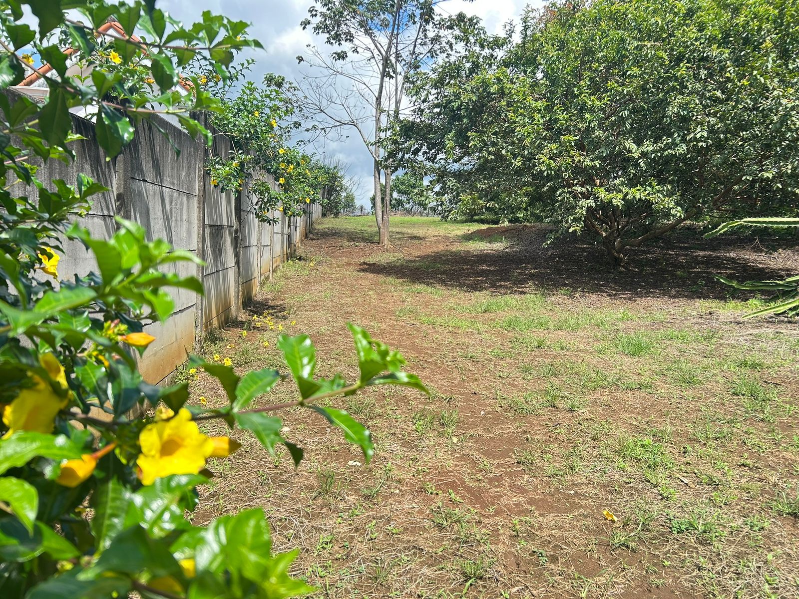0 bed Land For Sale in La Garita, Alajuela - thumb 8