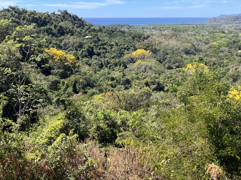 0 bed Land For Sale in Playa Coyote, Guanacaste - hero 10