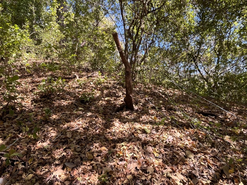 0 bed Land For Sale in Playa Coyote, Guanacaste - hero 12