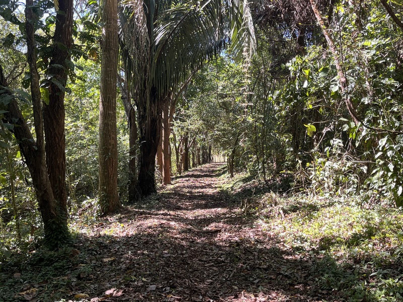 0 bed Land For Sale in Playa Coyote, Guanacaste - hero 14