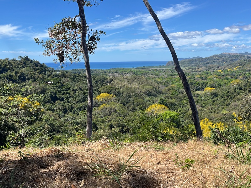0 bed Land For Sale in Playa Coyote, Guanacaste - hero 2