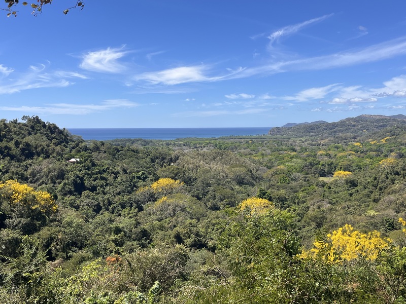 0 bed Land For Sale in Playa Coyote, Guanacaste - 1