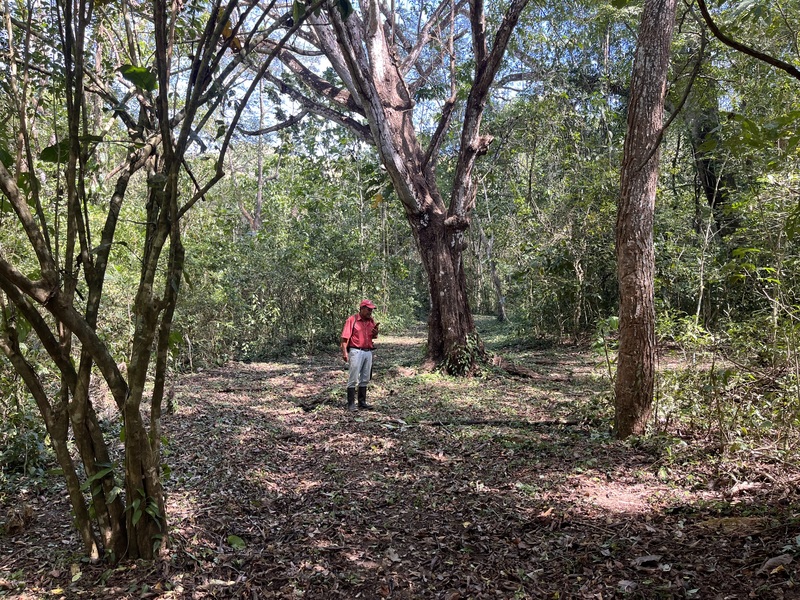 0 bed Land For Sale in Playa Coyote, Guanacaste - hero 13