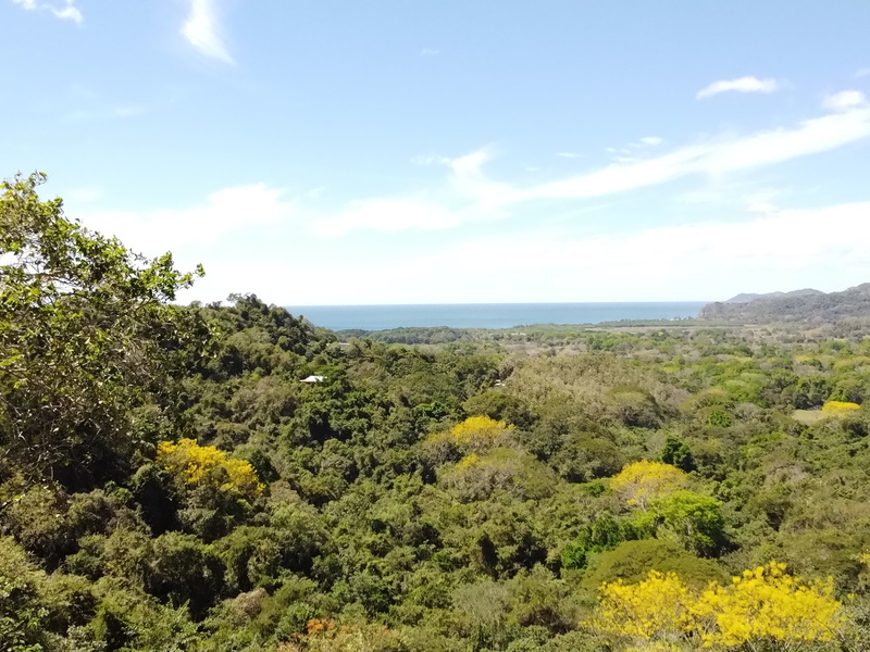 0 bed Land For Sale in Playa Coyote, Guanacaste - hero 8