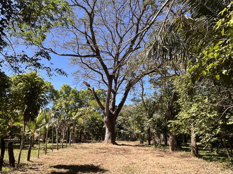 0 bed Land For Sale in Playa Coyote, Guanacaste - hero 16