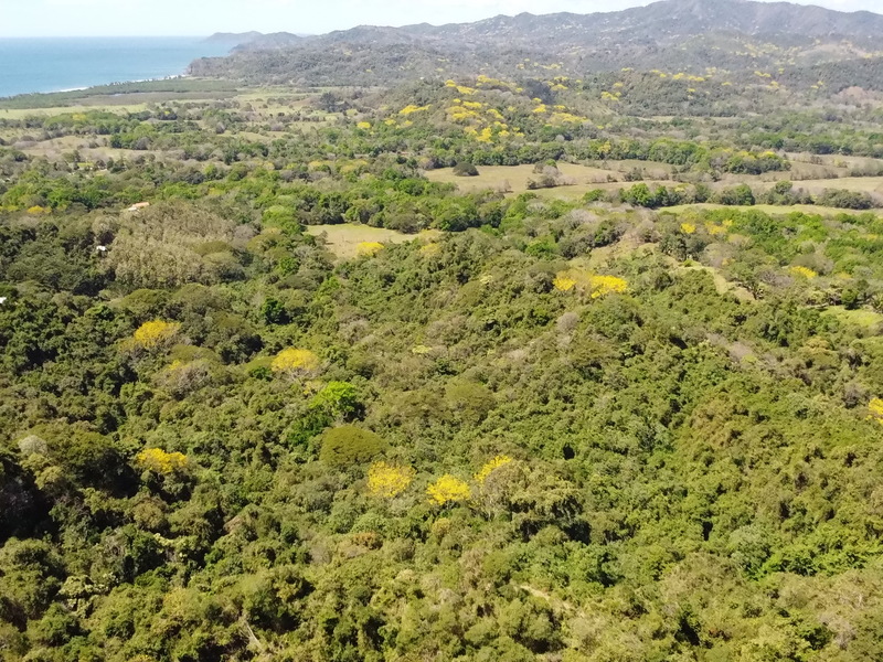 0 bed Land For Sale in Playa Coyote, Guanacaste - hero 7