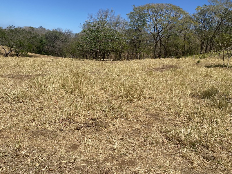 0 bed Land For Sale in Playa Lagarto, Guanacaste - hero 3