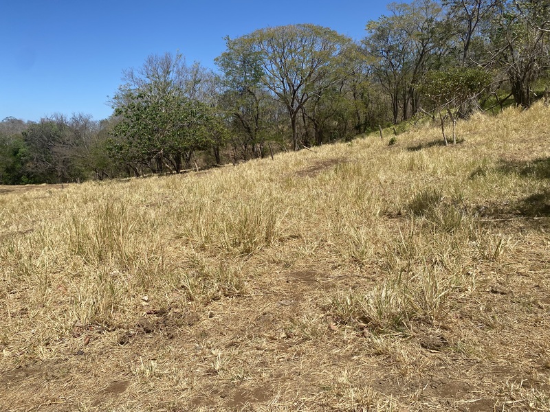 0 bed Land For Sale in Playa Lagarto, Guanacaste - hero 6