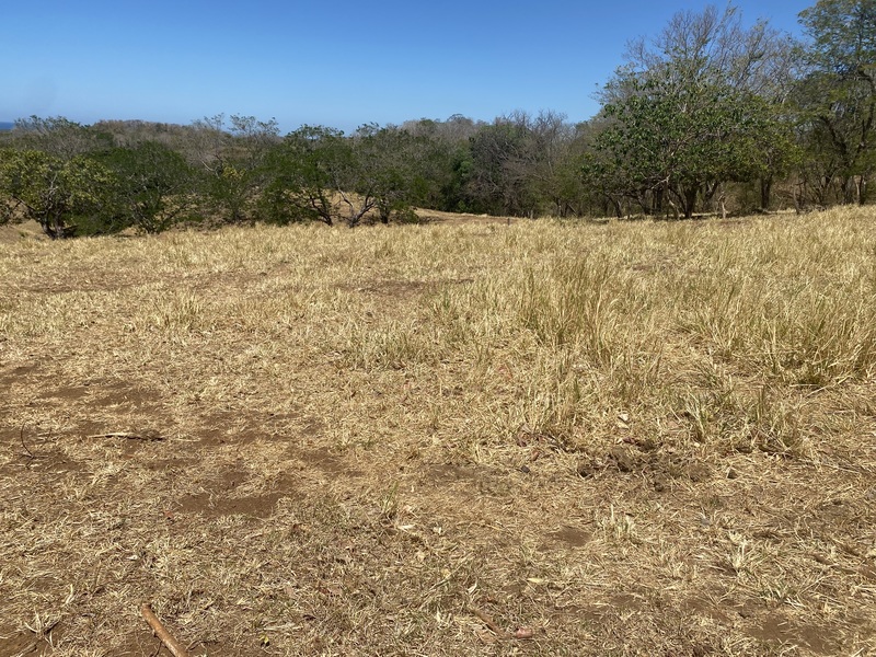 0 bed Land For Sale in Playa Lagarto, Guanacaste - hero 4