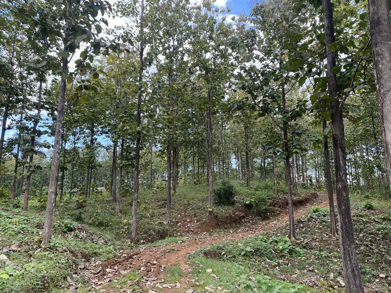 0 bed Land For Sale in Cobano, Puntarenas - hero 14