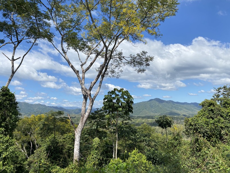 0 bed Land For Sale in Cobano, Puntarenas - hero 5
