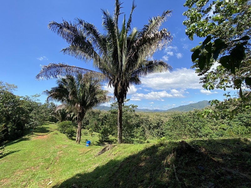 0 bed Land For Sale in Cobano, Puntarenas - hero 8