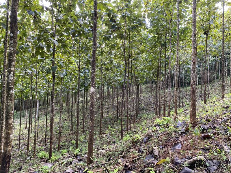 0 bed Land For Sale in Cobano, Puntarenas - hero 15