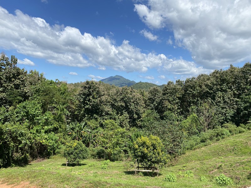 0 bed Land For Sale in Cobano, Puntarenas - hero 7