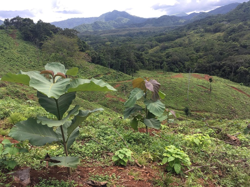 0 bed Land For Sale in Cobano, Puntarenas - hero 11