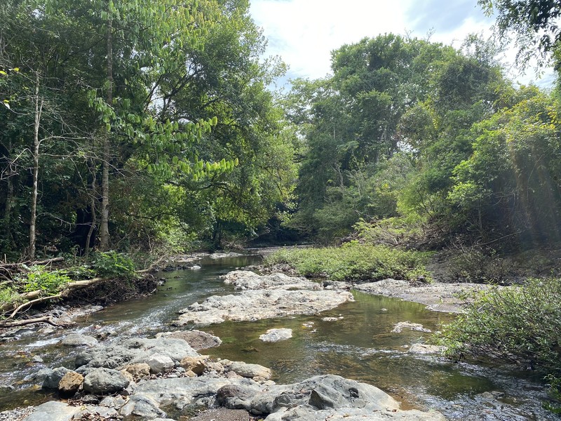 0 bed Land For Sale in Cobano, Puntarenas - hero 20