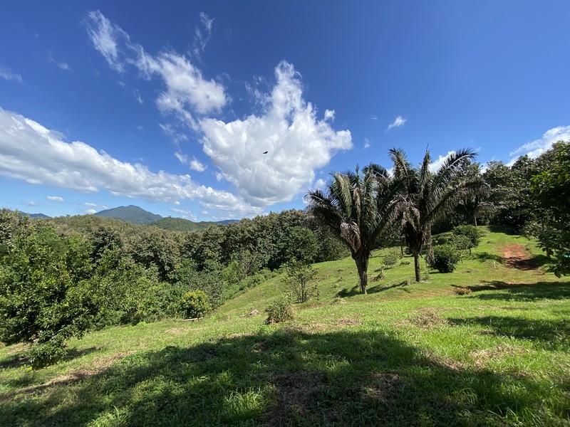 0 bed Land For Sale in Cobano, Puntarenas - hero 4