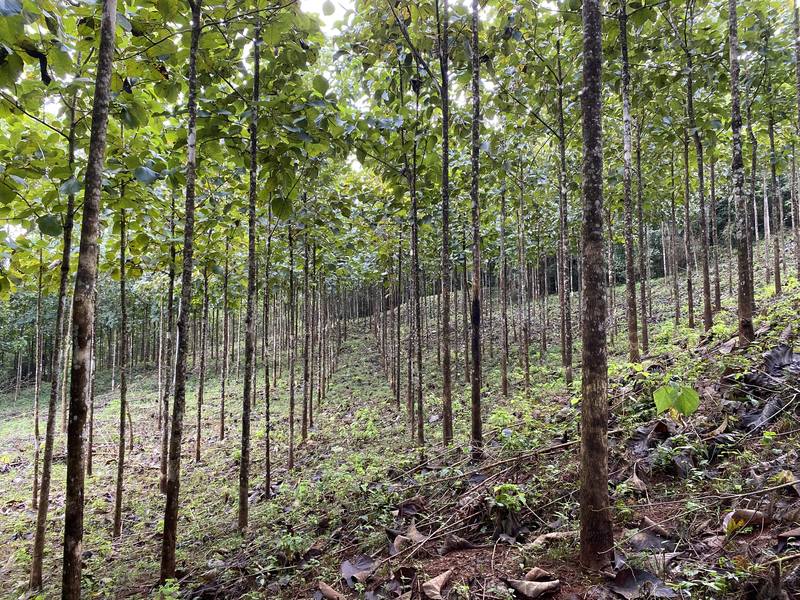 0 bed Land For Sale in Cobano, Puntarenas - hero 13