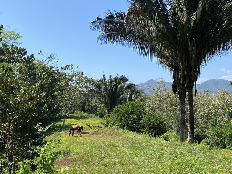 0 bed Land For Sale in Cobano, Puntarenas - hero 6
