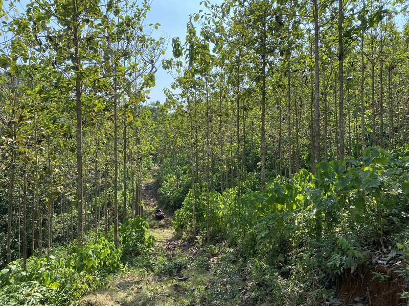 0 bed Land For Sale in Cobano, Puntarenas - hero 12