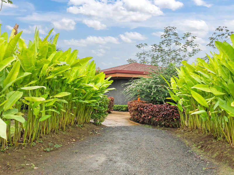 3 bed Single Family Homes For Sale in La Fortuna, Alajuela - photo 8