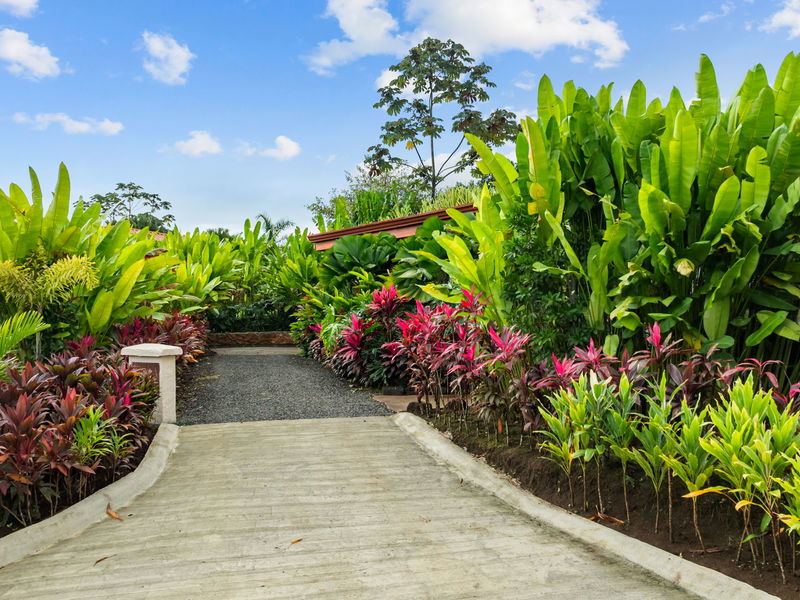 3 bed Single Family Homes For Sale in La Fortuna, Alajuela - photo 6