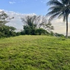  - Premium Ocean View Estate Parcel with Creek and Sunset Exposure