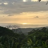  - Premium Ocean View Estate Parcel with Creek and Sunset Exposure